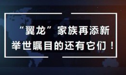 咕噜噜的爆料视频大全免费观看,免费观看，揭秘娱乐圈幕后故事